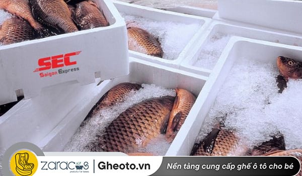 cach-cho-hai-san-tren-xe-khong-hoi