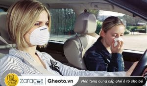 cach-khu-mui-hai-san-tren-xe