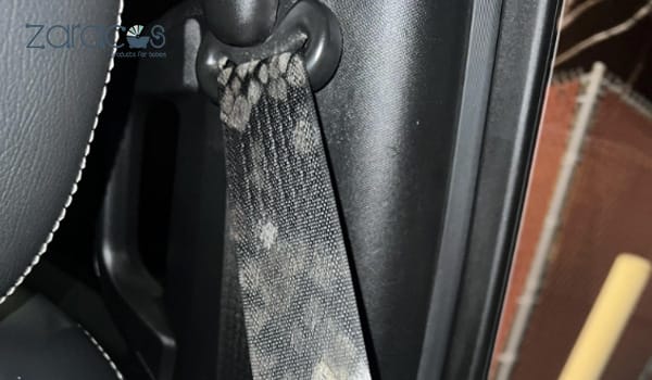 day-an-toan-bi-ket-do-bui