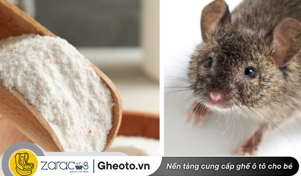 dung-bot-tieu-de-duoi-chuot