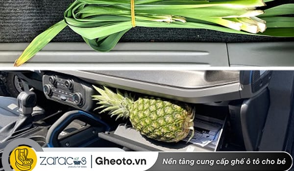 dung-la-dua-hoac-dua-de-khu-mui-hoi-tren-xe