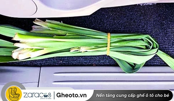 la-dua-khu-mui-ghe-da-xe-moi