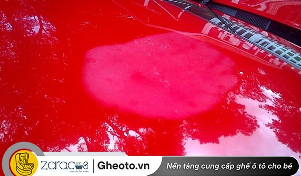 nguyen-nhan-son-oto-bi-o-bac-mau