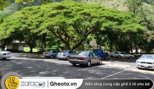 cach-dau-xe-ngoai-nang