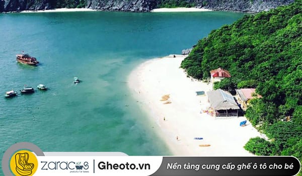 dao-cat-ba-diem-du-lich-mien-bac-cung-gia-dinh