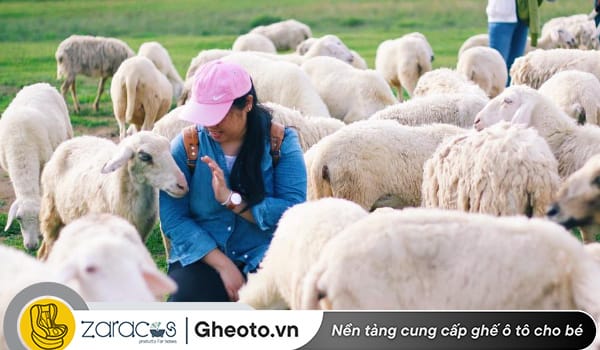 dong-cuu-suoi-nghe-vung-tau