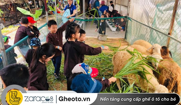 du-lich-gia-dinh-cung-con-nho-mien-tay-1