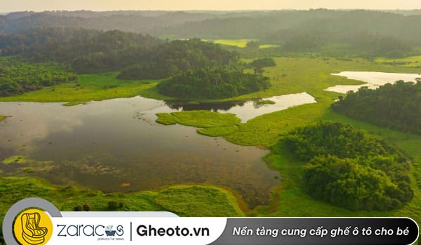 dua-be-di-choi-gan-tphcm-vuon-quoc-gia-cat-tien-1