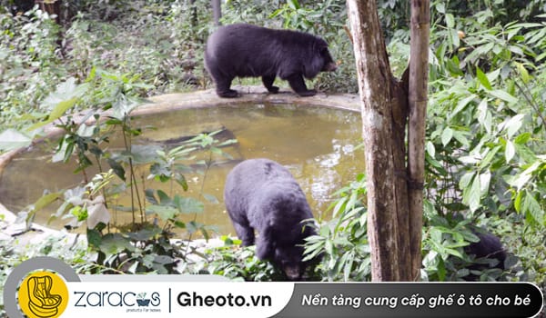 dua-be-di-choi-gan-tphcm-vuon-quoc-gia-cat-tien